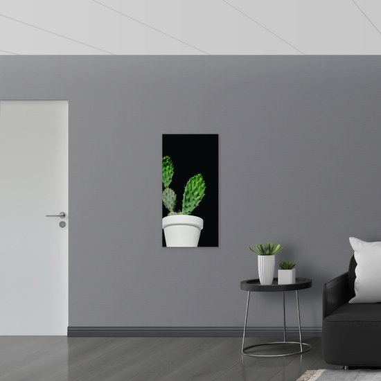 Dibond - Cactus - Plant - Bloempot - 50x100 cm Foto op Aluminium (Wanddecoratie van metaal)