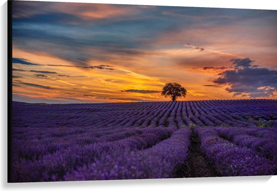 Canvas - Landschap - Bloemen - Planten - Boom - Lavendel - Zonsondergnag - Paars - 120x80 cm Foto op Canvas Schilderij (Wanddecoratie op Canvas)