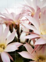 IXXI Belle de Jour - Wanddecoratie - Bloemen en Planten - 120 x 160 cm