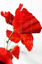 IXXI Poppies - Wanddecoratie - Bloemen en Planten - 80 x 120 cm