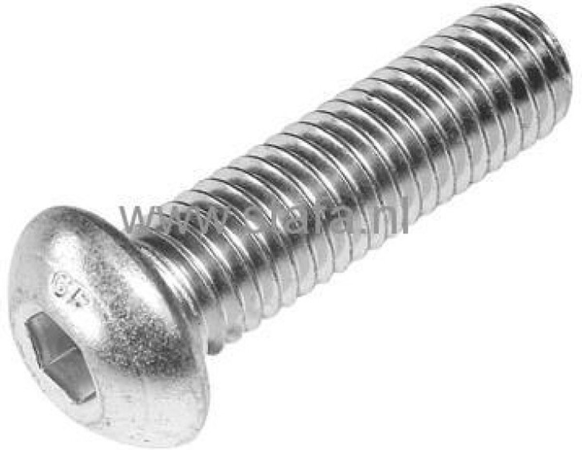 Laagbolkopsch Iso7380 10.9 M12x30mm - Verzinkt - 100 Stuks