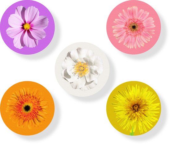 Huurdies - Cercles de papier peint - Autocollants pour papier peint - Set de 5 - Diamètre 30 - Feuille autocollante - Sans déchirure ni pli - Facile à assembler - Facile à repositionner