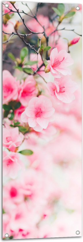 Tuinposter – Boom - Bloesem - Bloemen - Roze - 40x120 cm Foto op Tuinposter (wanddecoratie voor buiten en binnen)