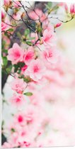 PVC Schuimplaat - Boom - Bloesem - Bloemen - Roze - 50x100 cm Foto op PVC Schuimplaat (Met Ophangsysteem)