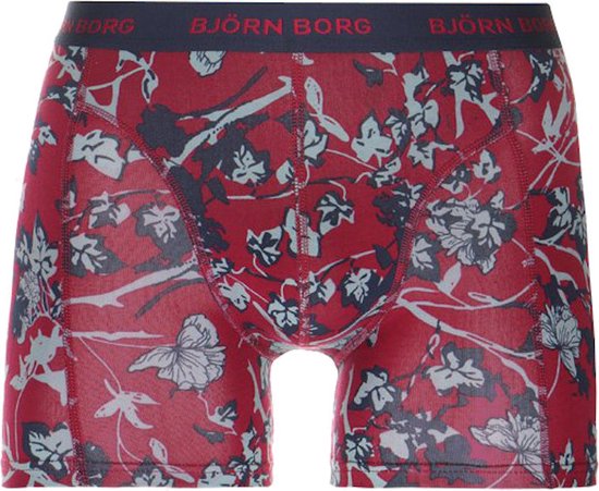 Björn Borg Core - Boxers - Lot de 2 - Rouge / Grijs - Garçons - Taille 146 / 152