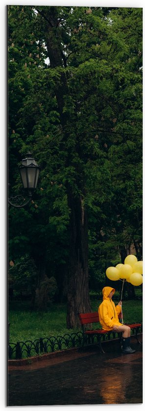 Dibond - Bomen - Persoon - Bankje - Parkje - Lantaarnpaal - Regenjas - Ballonnen - Regen - 30x90 cm Foto op Aluminium (Wanddecoratie van metaal)