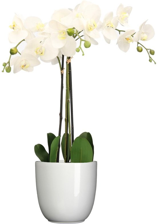 Orchidee kunstplant wit - 75 cm - inclusief bloempot wit glans - Kunstbloemen in pot