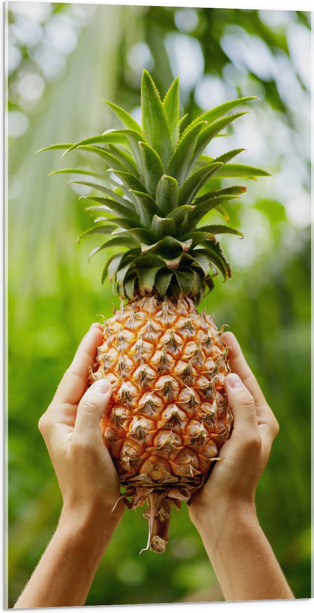 Acrylglas - Verse tropische Ananas in Mensenhanden - 50x100 cm Foto op Acrylglas (Wanddecoratie op Acrylaat)
