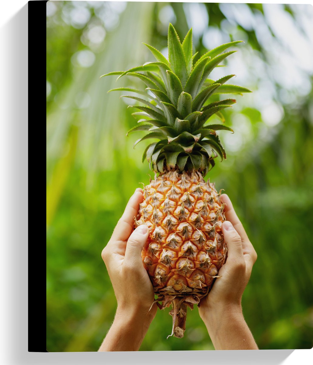 Canvas - Verse tropische Ananas in Mensenhanden - 30x40 cm Foto op Canvas Schilderij (Wanddecoratie op Canvas)