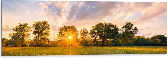 Dibond - Zonsondergang over Veld met Kleine Wilde Bloemen - 120x40 cm Foto op Aluminium (Wanddecoratie van metaal)