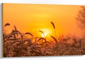 Hout - Zonsondergang door Hoge Grassprieten - 105x70 cm - 9 mm dik - Foto op Hout (Met Ophangsysteem)