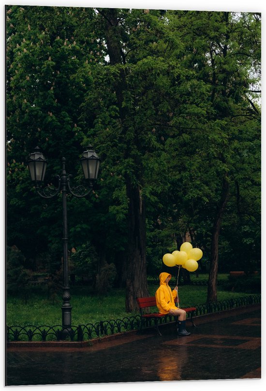 Dibond - Bomen - Persoon - Bankje - Parkje - Lantaarnpaal - Regenjas - Ballonnen - Regen - 60x90 cm Foto op Aluminium (Wanddecoratie van metaal)