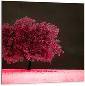 Dibond - Boom - Landschap - Roze - Bladeren - 100x100 cm Foto op Aluminium (Wanddecoratie van metaal)