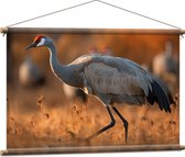 Textielposter - Kraan vogel loopt door natuur gebied heen met zijn groep op de achtergrond - 90x60 cm Foto op Textiel