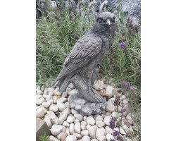 Valk beeld beton vogel 31cm hoog roofvogel