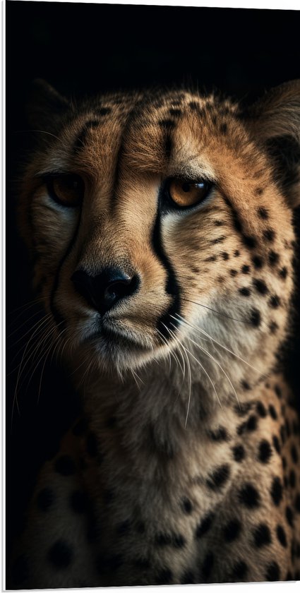 PVC Schuimplaat - Cheetah close up met zwarte achtergrond - 50x100 cm Foto op PVC Schuimplaat (Met Ophangsysteem)