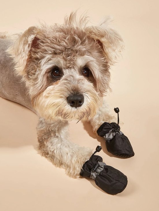 Taille M - chaussures de pluie chiens - 4 pièces - chaussures chien - pluie  - chien -... | bol