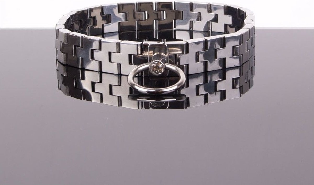 Goedkoopste Watch band Collar met Kristal en Slot