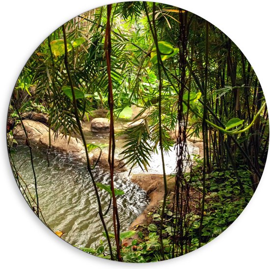 Dibond Muurcirkel - Planten - Water - Tropisch - Bomen - Groen - 80x80 cm Foto op Aluminium Muurcirkel (met ophangsysteem)