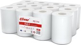 Cliver - Duurzaam papieren keukendoek van ecologisch materiaal met goed absorptievermogen / 12 rollen