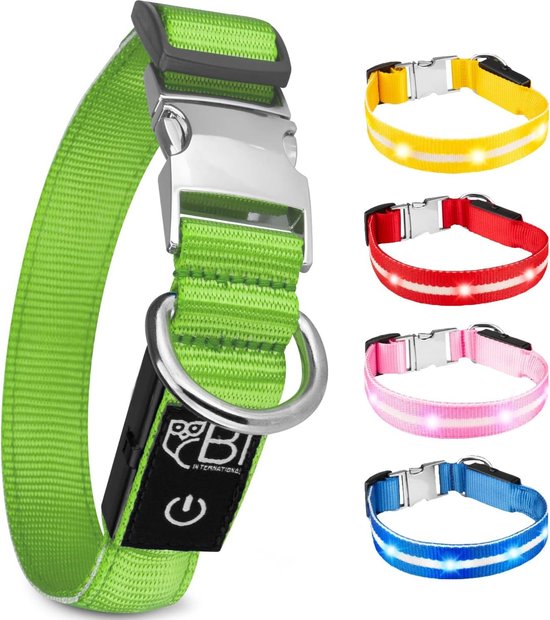 KOSKILL LED Hundehalsband Grün L – USB, wasserdicht, sicher