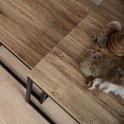Trois tables basses avec plateau en bois et cadre en métal noir, vues de près.