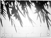 Tuinposter – Planten - Bladeren - Muur - Schaduw - Zwart - Wit - 40x30 cm Foto op Tuinposter (wanddecoratie voor buiten en binnen)