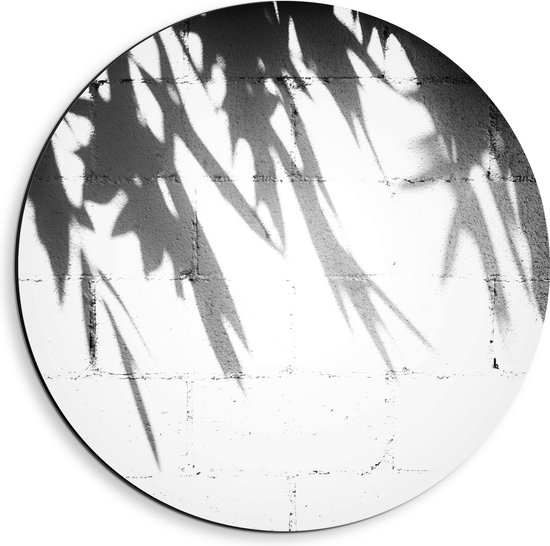 Dibond Muurcirkel - Planten - Bladeren - Muur - Schaduw - Zwart - Wit - 40x40 cm Foto op Aluminium Muurcirkel (met ophangsysteem)