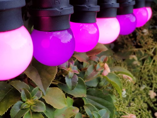 HappyLights lichtsnoer buiten [Outdoor] Purple Passion - 20 LED's - 10m