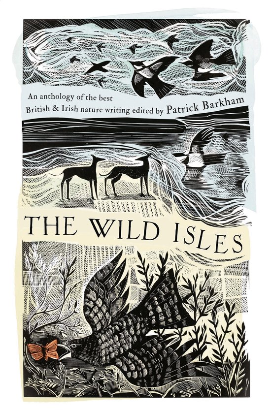 The Wild Isles - cover