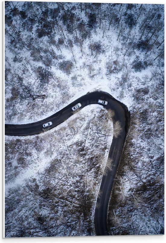 PVC Schuimplaat - Sneeuw - Bomen - Bossen - Voertuigen - Auto - Weg - 40x60 cm Foto op PVC Schuimplaat (Met Ophangsysteem)