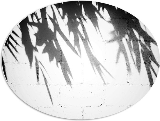 PVC Schuimplaat Ovaal - Planten - Bladeren - Muur - Schaduw - Zwart - Wit - 96x72 cm Foto op Ovaal (Met Ophangsysteem)
