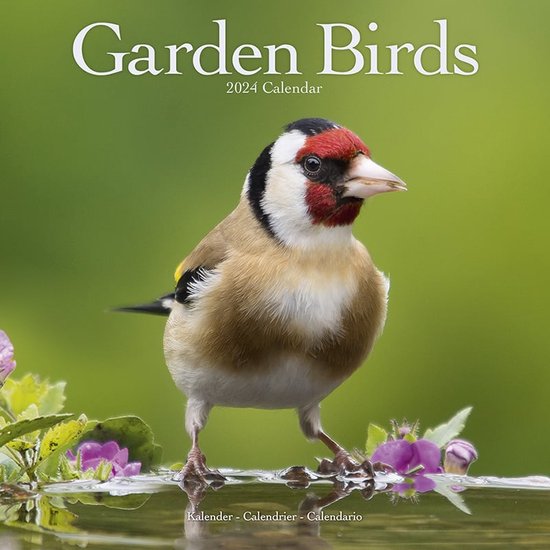 Calendrier des oiseaux du Garden 2024
