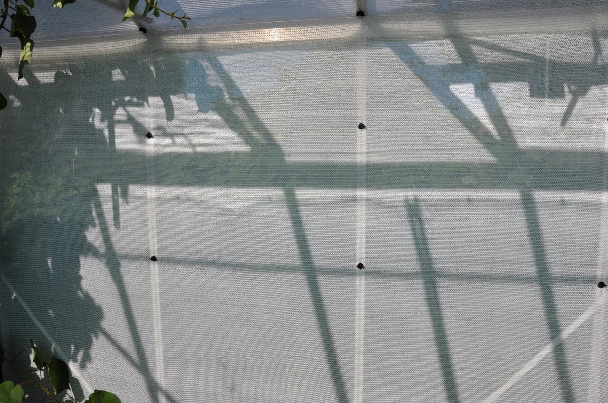 Royal Well Schermgaas 5 x 1,8 meter