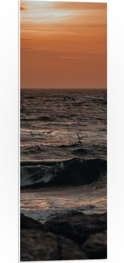 PVC Schuimplaat- Oceaan - Zee - Rotsen - Stenen -Dieren - Vogels - Meeuwen - Golven - 30x90 cm Foto op PVC Schuimplaat