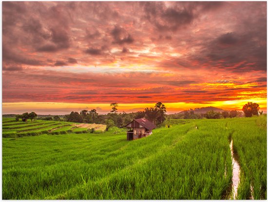 Poster Glanzend – Zonsondergang bij de Thaise Rijstvelden - 40x30 cm Foto op Posterpapier met Glanzende Afwerking