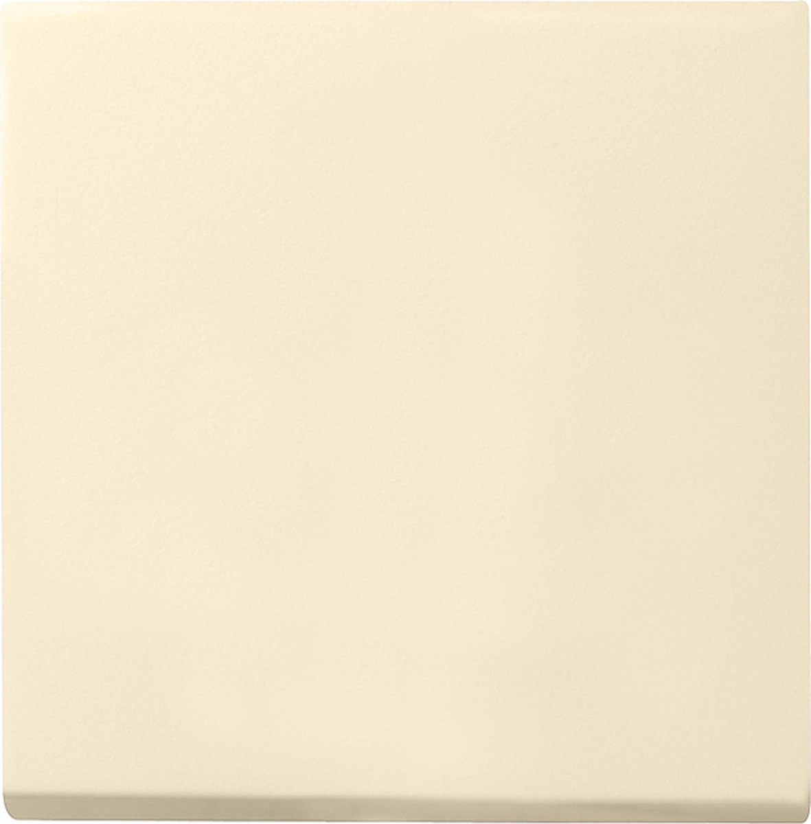 Gira Systeem 55 Besturingselement/Centrale plaat Schakelmateriaal - 029601 - E2FU7