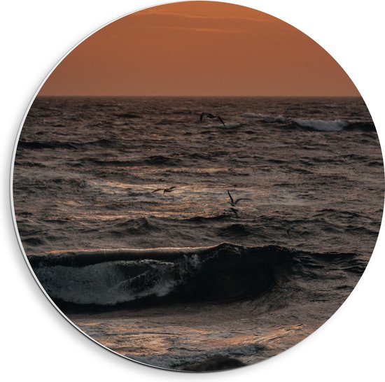 PVC Schuimplaat Muurcirkel - Oceaan - Zee - Rotsen - Stenen -Dieren - Vogels - Meeuwen - Golven - 40x40 cm Foto op Muurcirkel (met ophangsysteem)