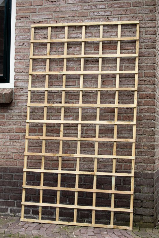 Trellis Groot - 180 x 100 cm - hout - plantenrek | bol.com