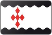 Vlag gemeente Peel en Maas - 200 x 300 cm - Polyester