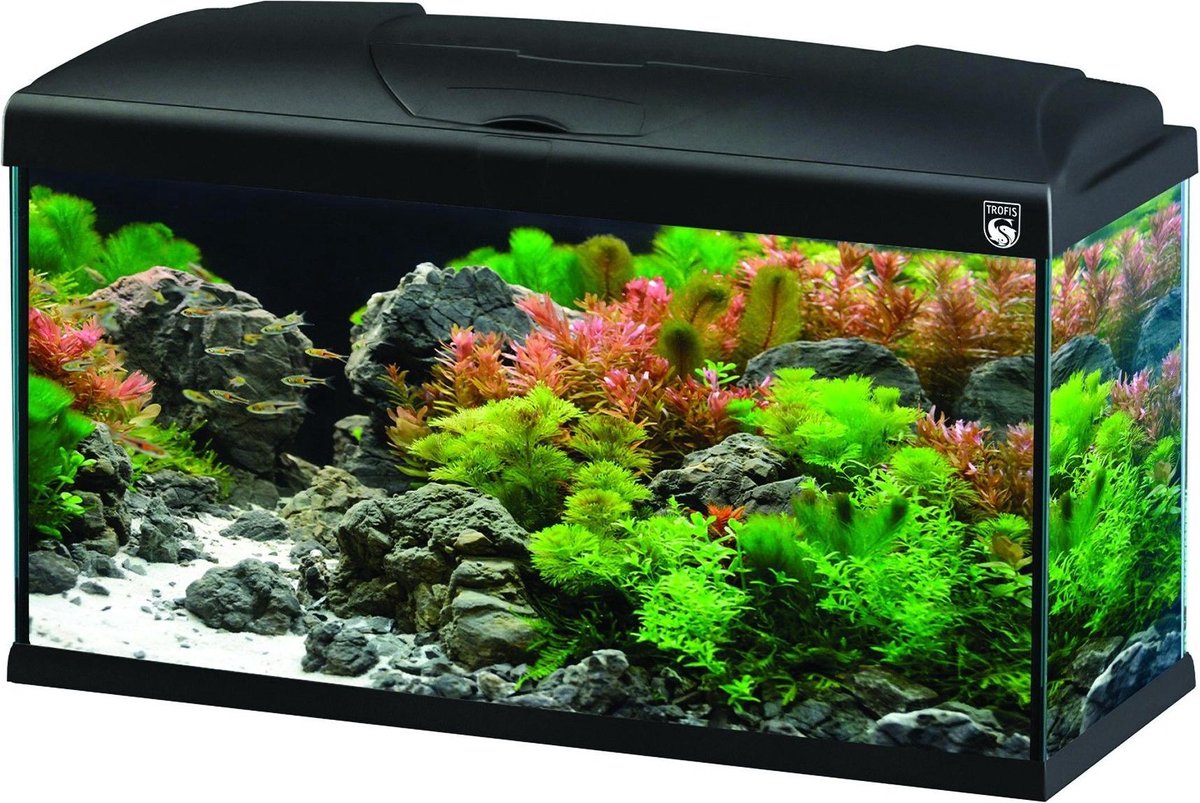 Trofis Start 50 Zwart Aquarium