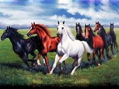 Diamond Painting 45x34cm - Rennende Paarden - Rond - Volledig Diamant Schilderen Hobby - Compleet Diamond Painting Pakket