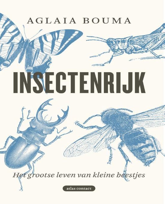 Insectenrijk