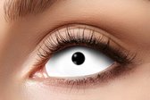 Sclera Lenzen 22 mm - White Eye
