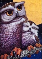 Diamond painting kit "Owls"