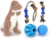 Ensemble de jouets pour chiens Nobleza - 5 pièces