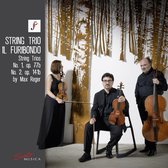 Il Furibondo - String Trios No. 1, Op. 77B, No. 2, Op. 141B (CD)