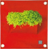 Plantenbak Bloomingwalls The Green Pockets AMMA1 - Red