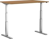 Actiforce - Stabureau - SteelForce 470 - Elektrisch - 160x80 cm