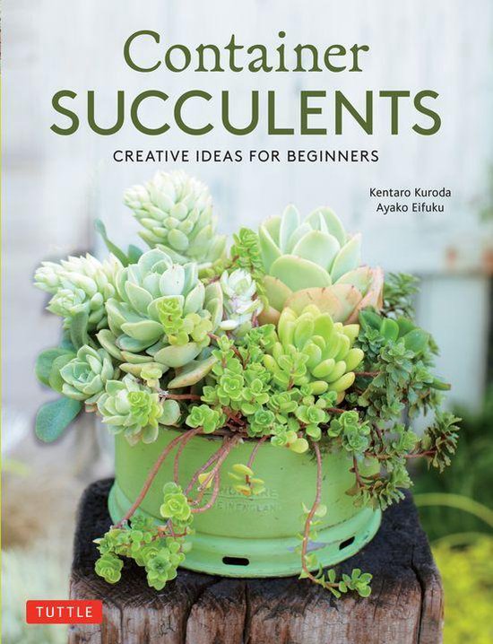 Container Succulents - cover